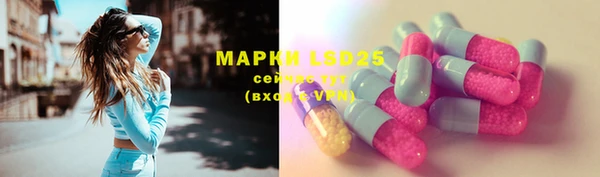 ешки Белокуриха