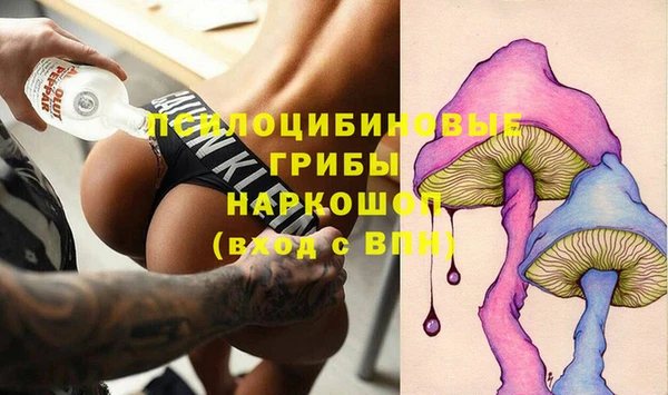 ешки Белокуриха