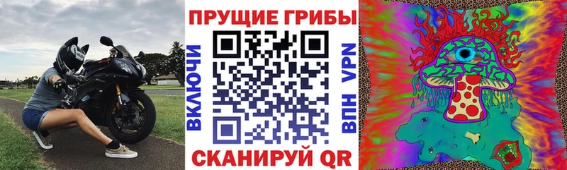 как найти закладки  Купино  Галлюциногенные грибы Psilocybine cubensis 